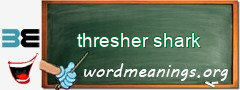 WordMeaning blackboard for thresher shark